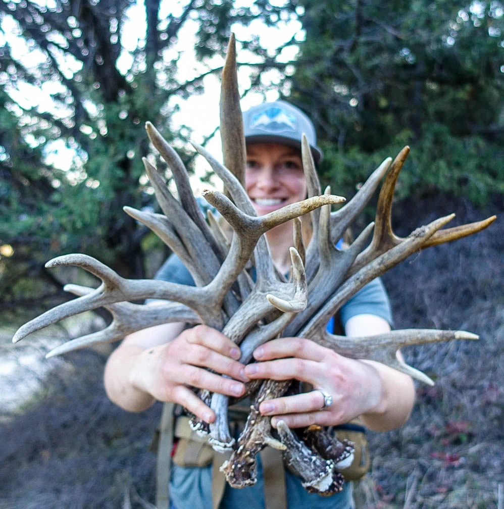 Offline GPS tracks for shed hunters